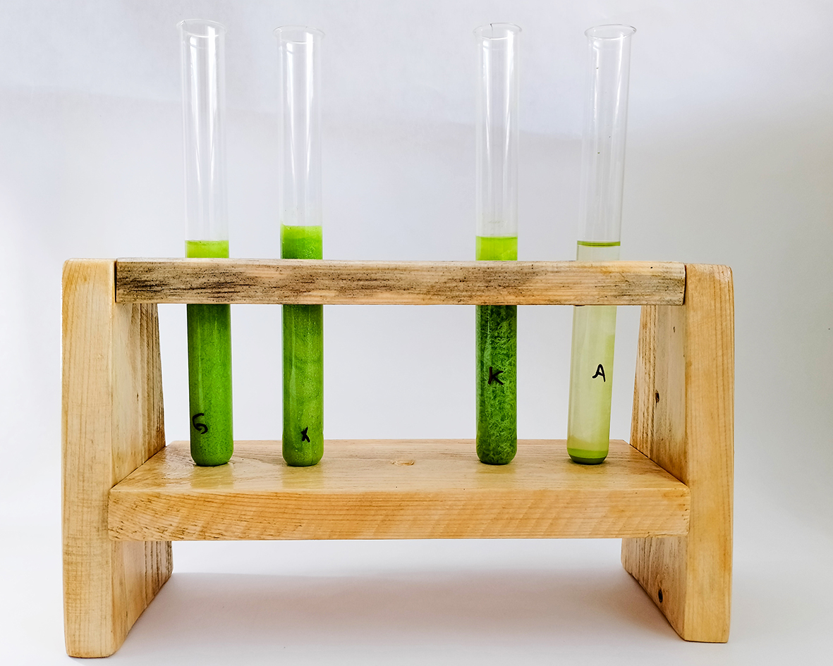 Comparación de gomas naturales y del polvo de mica utilizado en líquidos. El líquido y la mica verde se encuentran en tubos de ensayo de vidrio colocados en un soporte de madera sobre fondo blanco.